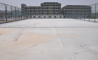 �����ƺ��b����1���������