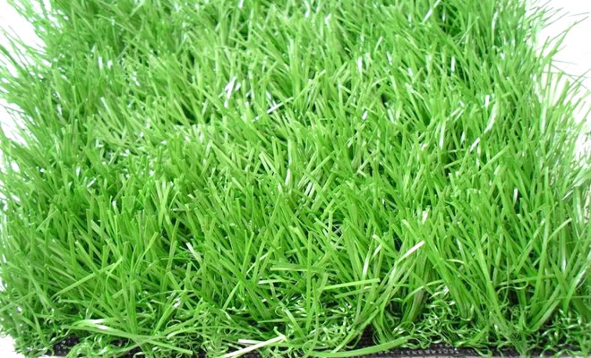 ����(y��u)�����ƺ��(y��u)���ж���(bi��o)��(zh��n)�f��