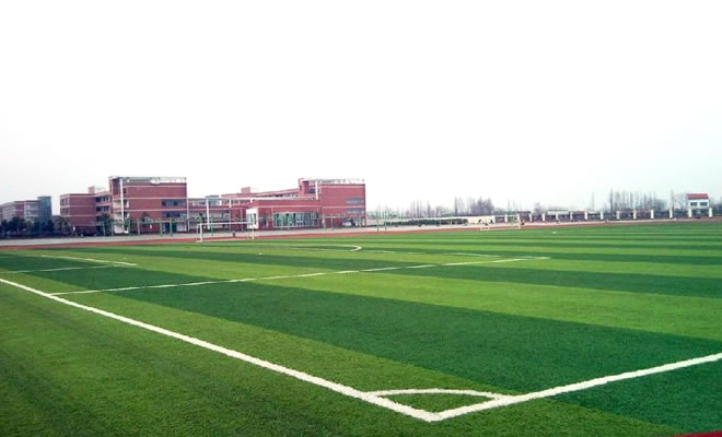 暢優(yōu)棒球場人造草坪施工方案