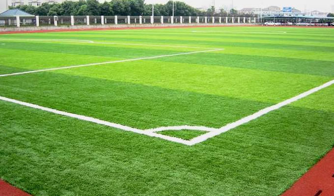 �����ƺ���l(f��)���ƷN��Լ���(y��u)ȱ�c