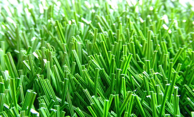 �����ƺ������ߴ�