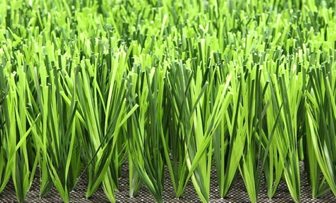 ����(y��u)�����ƺ�����c����Щ