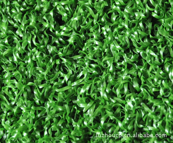 ����������ƺ�r��33Ԫ��