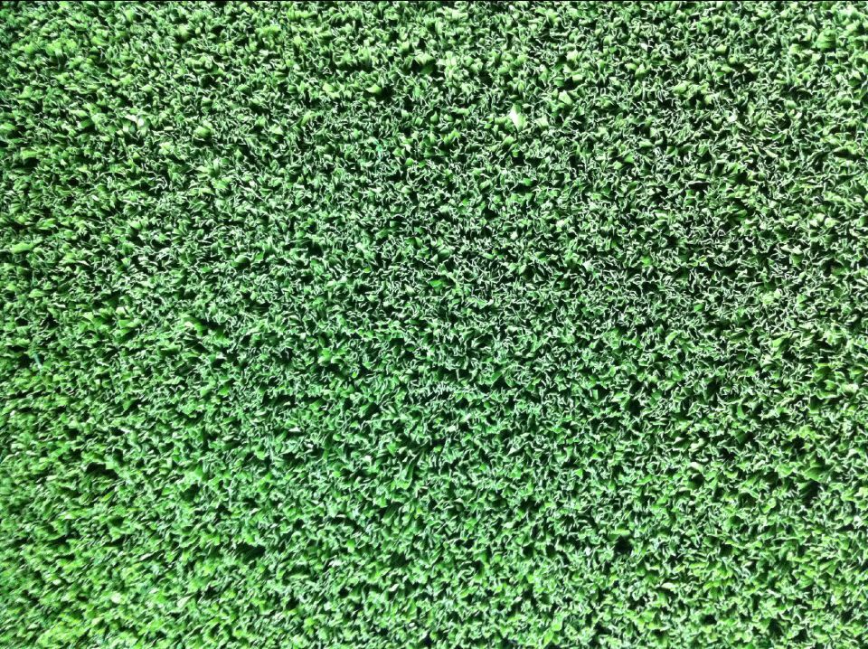 �@��������ƺ�r��