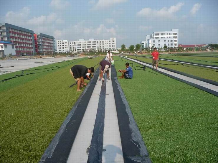 �\(y��n)��(d��ng)�������ƺʩ�������r(ji��)��D