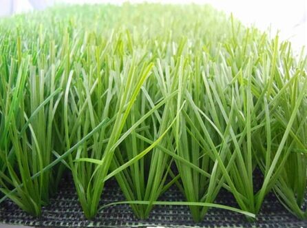 �\(y��n)��(d��ng)�������ƺ�r(ji��)��(x��)��(ji��)�DƬ