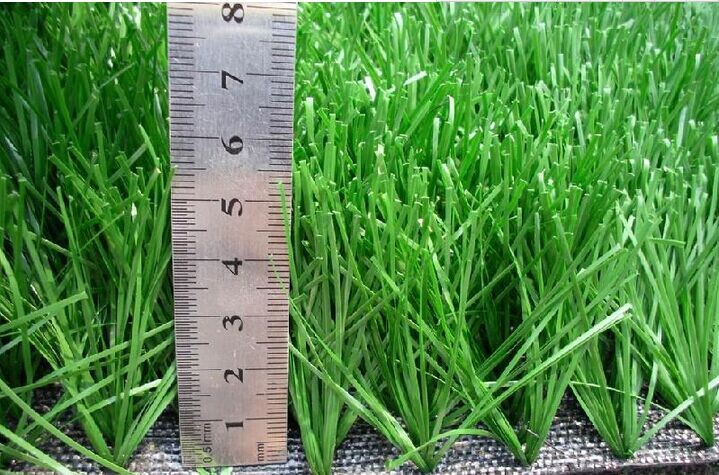 �P(y��ng)���Е���(y��u)�\(y��n)��(d��ng)�������ƺ�r(ji��)��