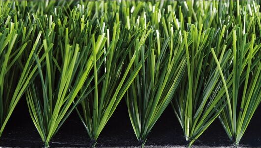 �P(y��ng)���Е���(y��u)���޹�˾�����(ch��ng)�����ƺ�r(ji��)��