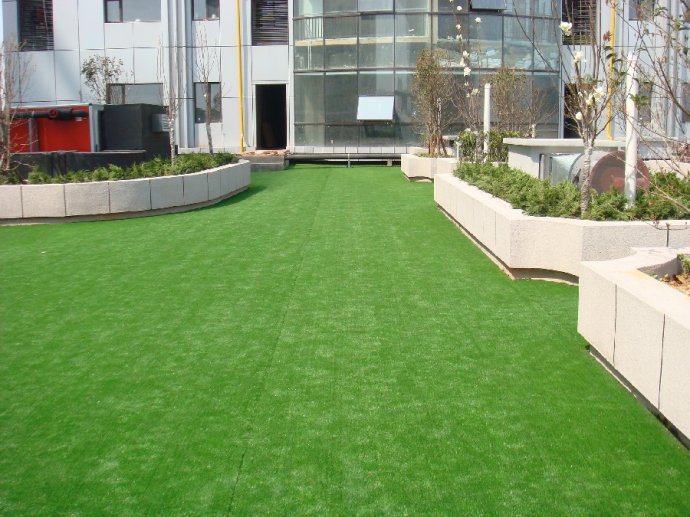 ����(y��u)�P(y��ng)���о��^ϵ�������ƺ�����r(ji��)��D