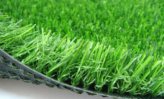 �P��������������ƺ�S��