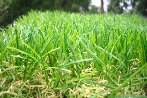 ���^ϵ�������ƺʩ������