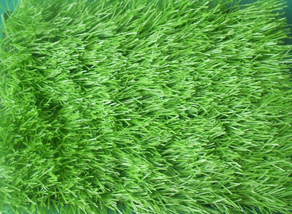 ����h(hu��n)���������ƺ��Ӱ�