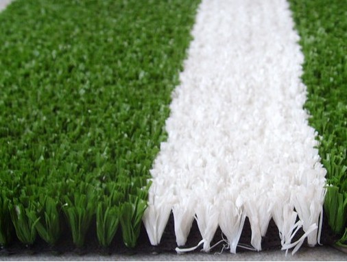 �@���(ch��ng)�����ƺ�r(ji��)��29Ԫ