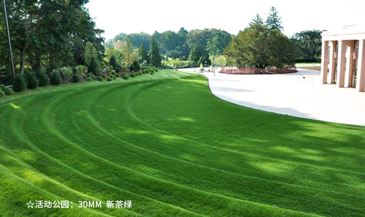 ���؇��������ƺ9Ԫ/ƽ