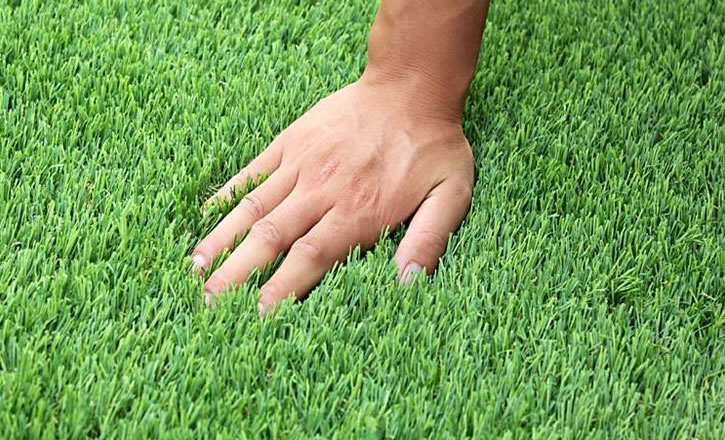 �ؑc�����ƺ���l(f��)�S�҃r��