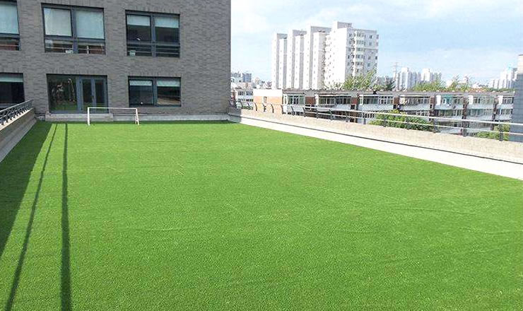 ���������Ƥ